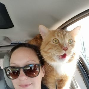 Meet your Posher, Avery